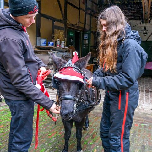 Zwei Personen schmücken einen Esel mit Weihnachtsmütze im Tuppenhof in Kaarst.