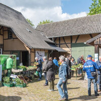 20. Pflanzentauschbörse auf dem Tuppenhof