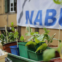 Pflanzen- und Saatgutbörse des NABU Kaarst; Foto: Klaus Stevens
