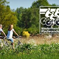 Niederrheinischer Radwandertag; Foto: Niederrhein Tourismus GmbH