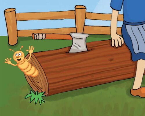 Unterwegs mit Tuppi Holzwurm…