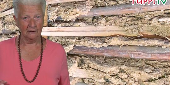 Das FilmTeam von TuppiTV hat es wieder getan: Ein weiterer Film ist im Kasten; Foto: (c) Screenshot TuppiTV