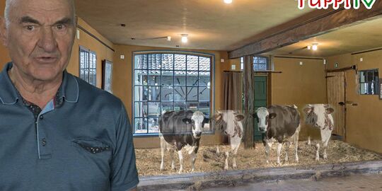 Der Kuhstall auf dem Tuppenhof bei TuppiTV; Foto: (c) Screenshot TuppiTV