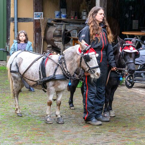 Eine Frau hält zwei festlich geschmückte Esel auf dem Tuppenhof in Kaarst, während ein Kind neugierig zusieht.