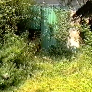 Fast wie bei „Dornröschen“