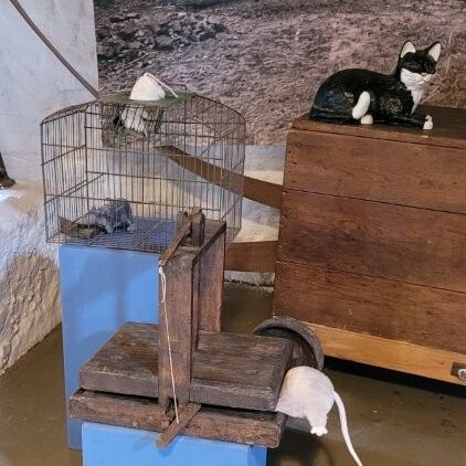 Ein Tuppenhof in Kaarst zeigt eine historische Rattenfalle neben einem Käfig und einer dekorativen Katze. | © Name