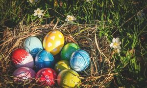 Osterwerkstatt Bunt ums Ei (Eltern-Kind-Aktion für Kita- und Grundschulkinder)