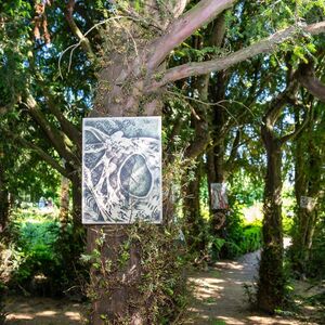 Arbeit von Michaela Kura Foto: Copyright by Klaus Stevens Kaarst