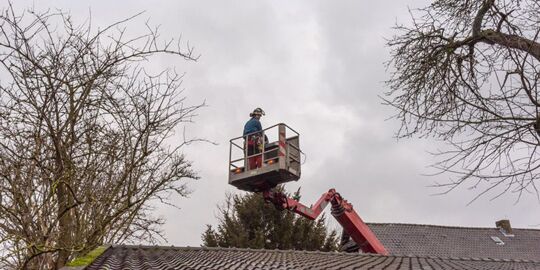 Baumerhalt durch professionelle Baumpflege in der historischen Gartenanlage auf dem Tuppenhof.