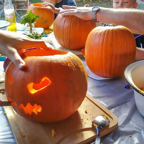 Familienmitglieder schnitzen gemeinsam leuchtende Kürbisse bei einem fröhlichen Fest im Tuppenhof, Kaarst.