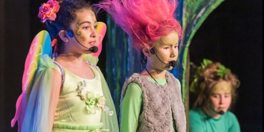 Musicalreihe für Kinder „Entenoma SOS 5” FARBENKLAU