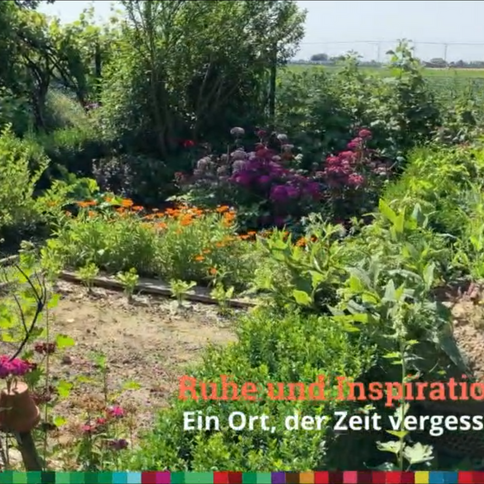 Ein blühender Garten in Tuppenhof, Kaarst, lädt zur Ruhe und Inspiration ein, während die Zeit stillsteht.