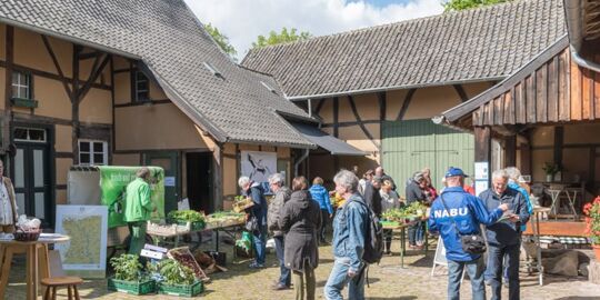 20. Pflanzentauschbörse auf dem Tuppenhof