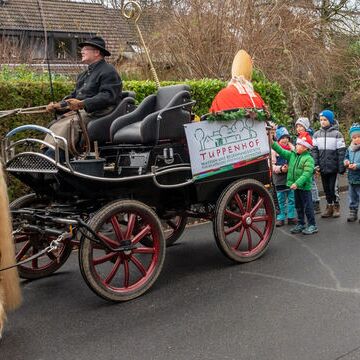 Foto: (c) Klaus Stevens