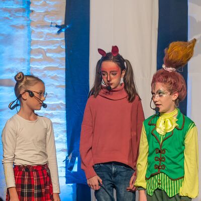 ENTENOMA SOS - ELFENSTAUB Kindermusical; Foto: Klaus Stevens