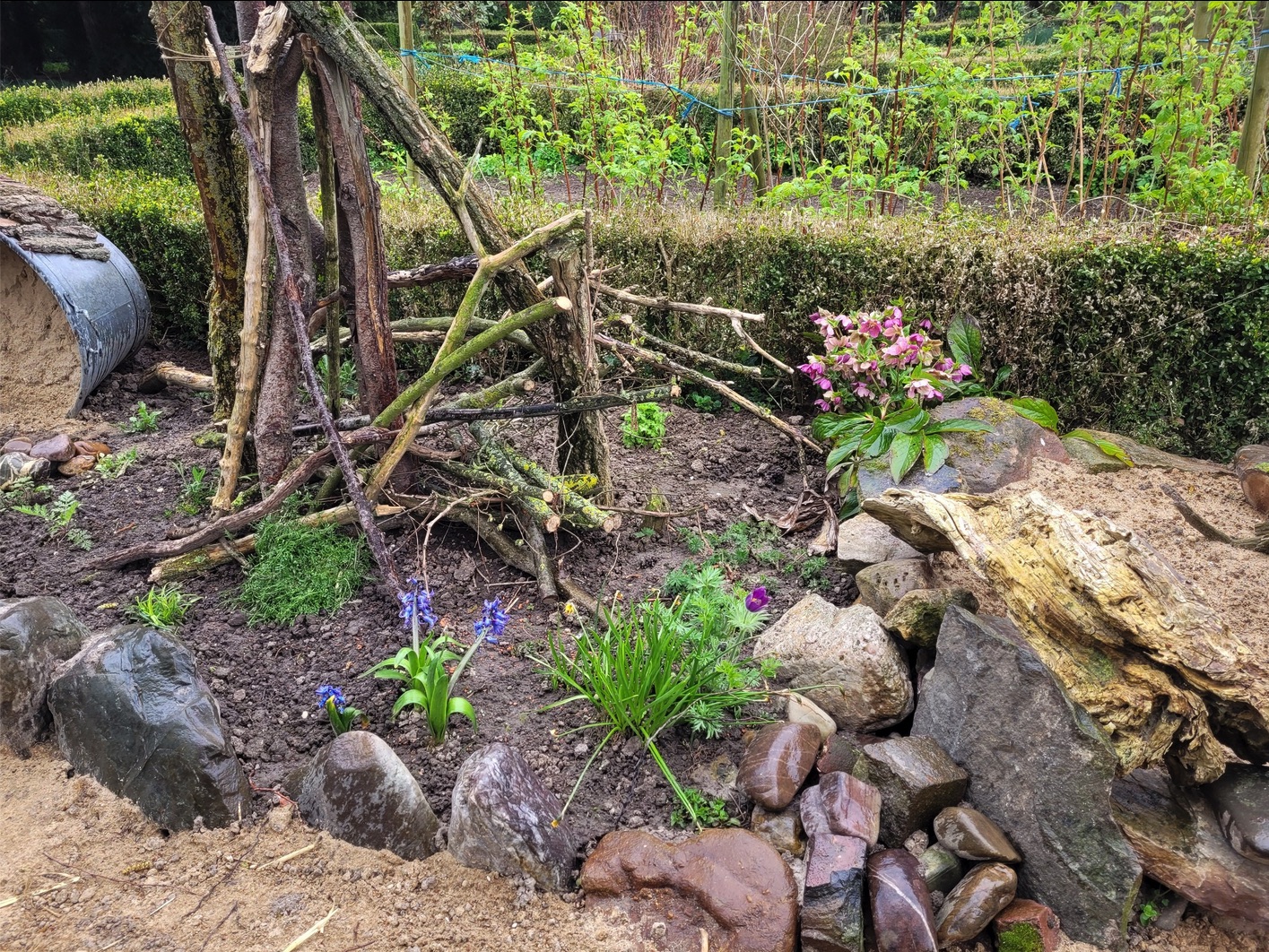 Ein Insektengarten in Tuppenhof, Kaarst zeigt natürliche Strukturen aus Ästen und Steinen mit blühenden Blumen.