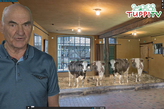 Der Kuhstall auf dem Tuppenhof bei TuppiTV; Foto: (c) Screenshot TuppiTV
