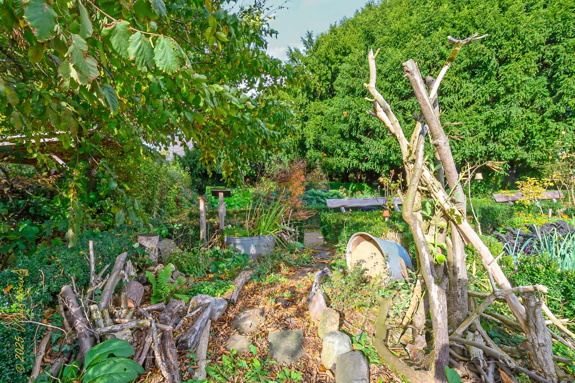 Ein natürlicher Garten voller üppiger Pflanzen und gestapelter Äste erstreckt sich unter einem klaren Himmel.